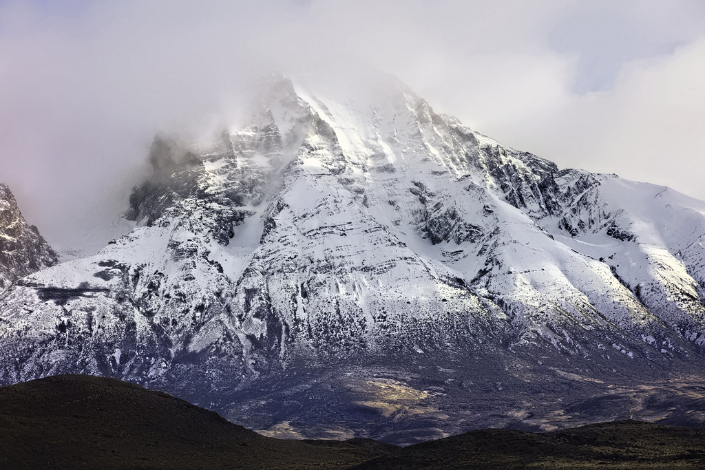 Le paradis / Guanacos paradise valley Parc Torres del Pain… Flickr