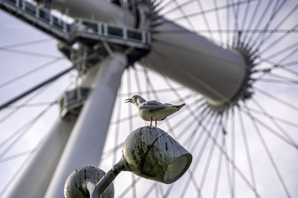 Spokes of the London Eye on the Thames Southbank 2 Flickr