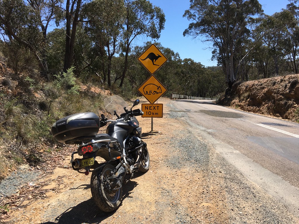 WildGuzzi TagORama