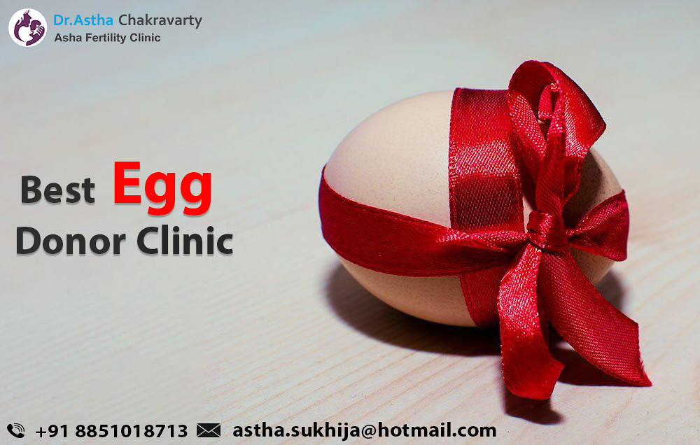 Best Egg donor Clinic Use of donor egg is indicated in wom… Flickr