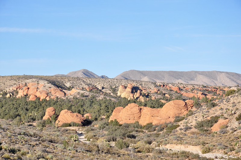 Home Page Destination West!