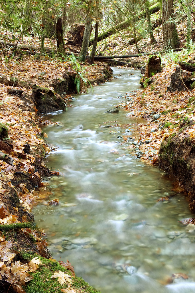 Knarston Creek 4 Lantzville Foothills Leonel Richard Flickr