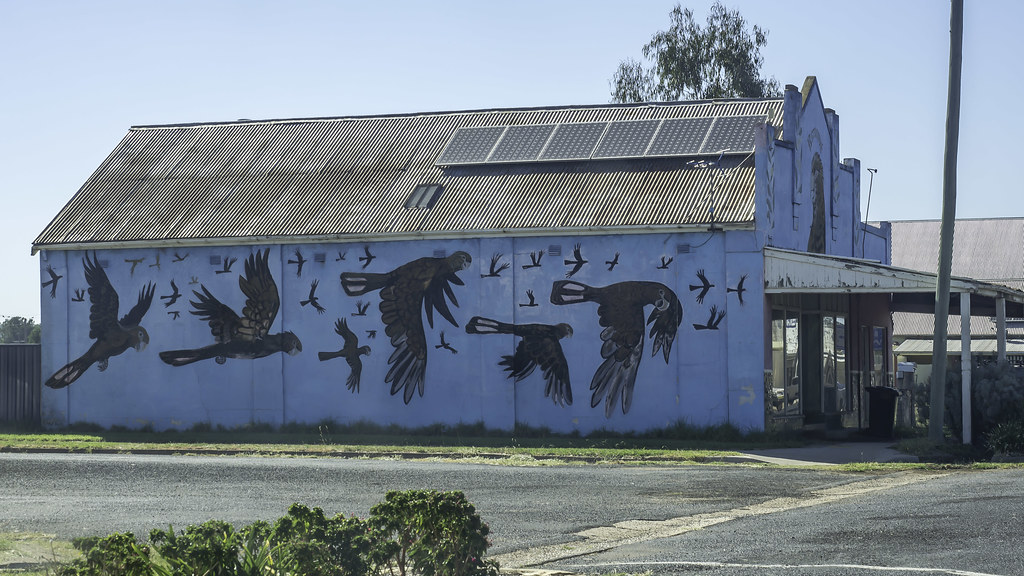 Mendooran NSW aka The Mural Town Took these on a road trip… Flickr