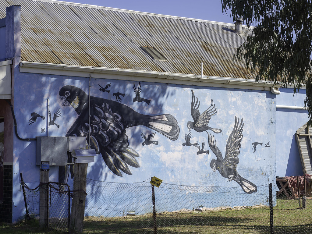 Mendooran NSW aka The Mural Town Took these on a road trip… Flickr