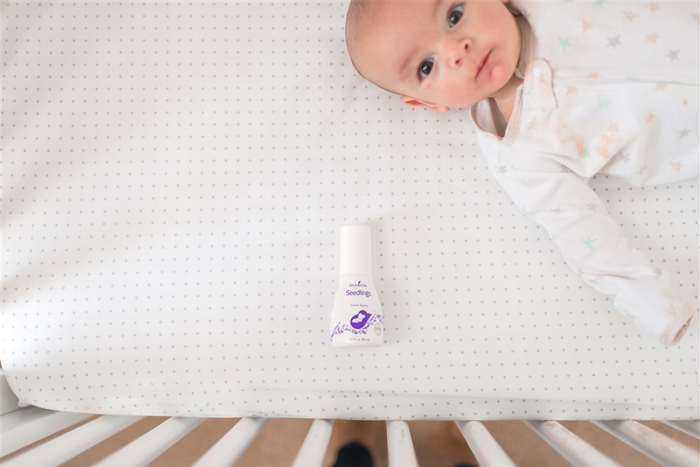 0025 7 Seedlings Linen Spray Seedlong Line Kristin Chin Flickr