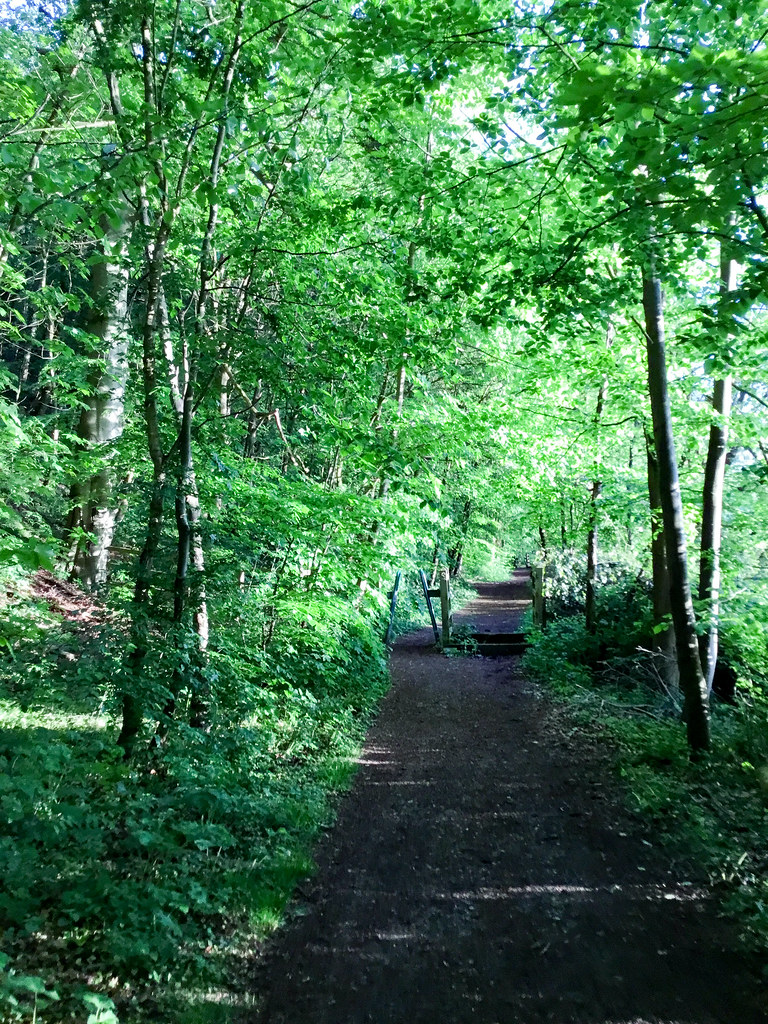 Clifton Grove, Clifton, Nottinghamshire52.jpg Edward Kendal Flickr