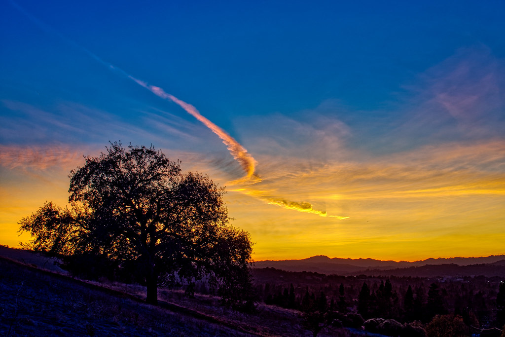 Lime Ridge Afterglow After sunset tonight, the tree in the… Flickr