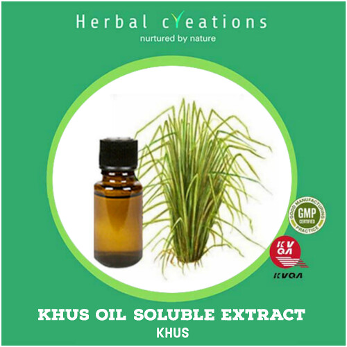khusoilsolubleextract500x500 Khus oil is extracted fro… Flickr