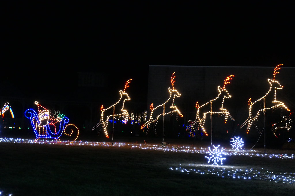 Million Bulb Walk, Norfolk Botanical Garden Nov 2019 Flickr