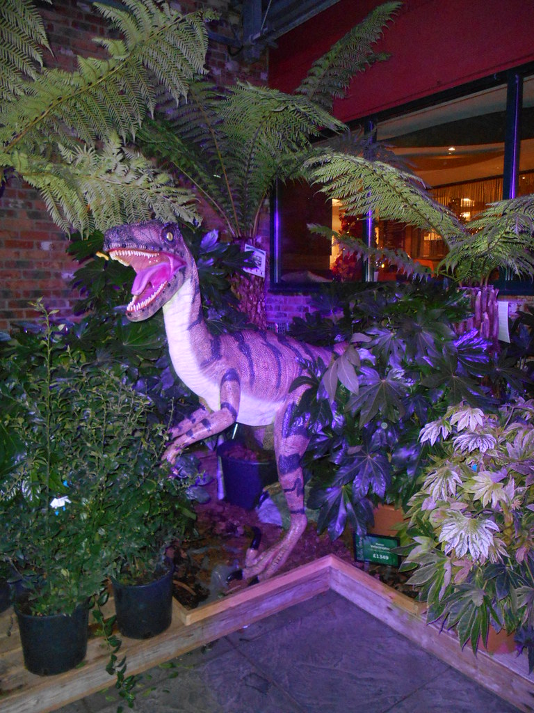 Barton Grange Garden Centre Christmas 2019 stuartp1960 Flickr