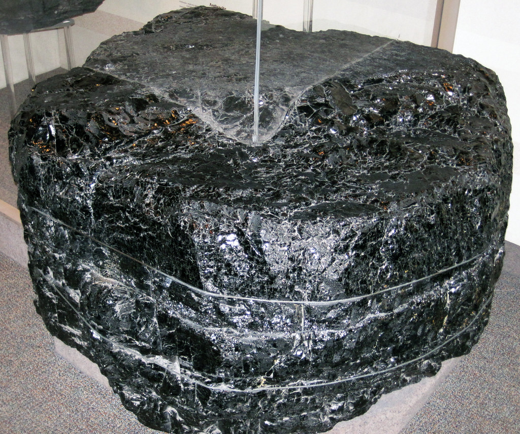 Anthracite coal 2 (public display, Carnegie Museum of Natu… Flickr
