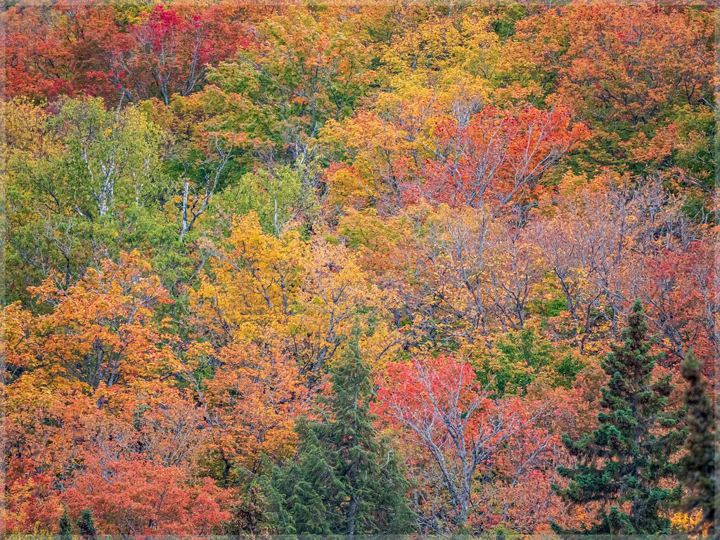 Indian Summer 2023 Pennsylvania