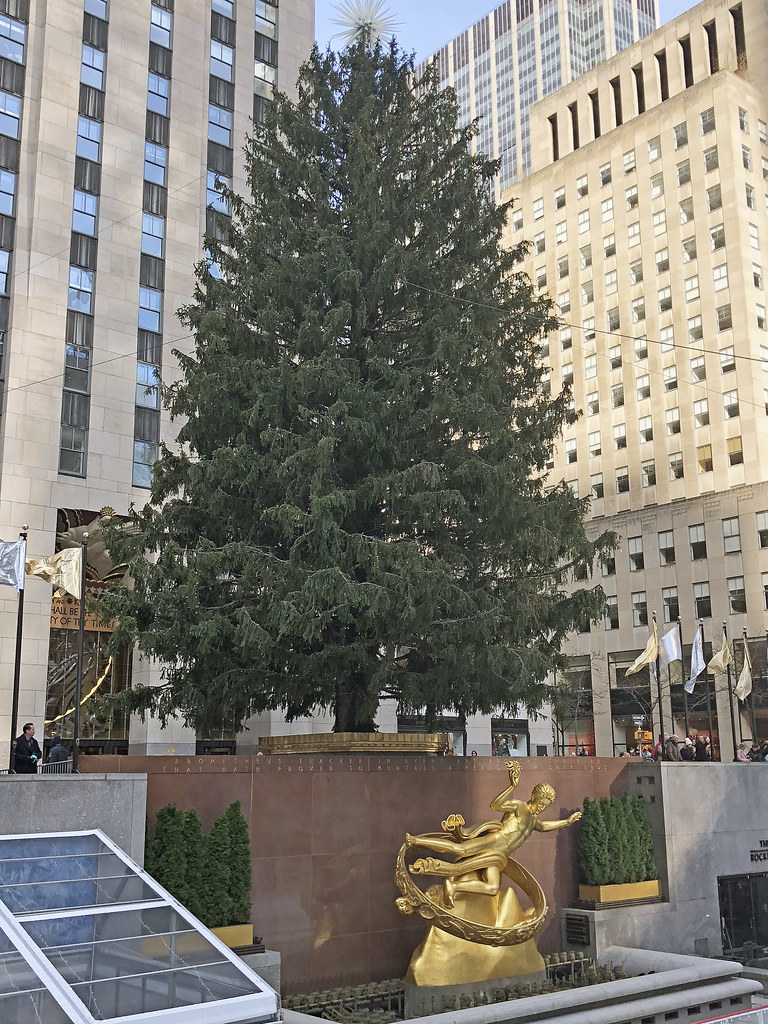 The 2019 Rockefeller Center Christmas Tree Was Delivered T… Flickr
