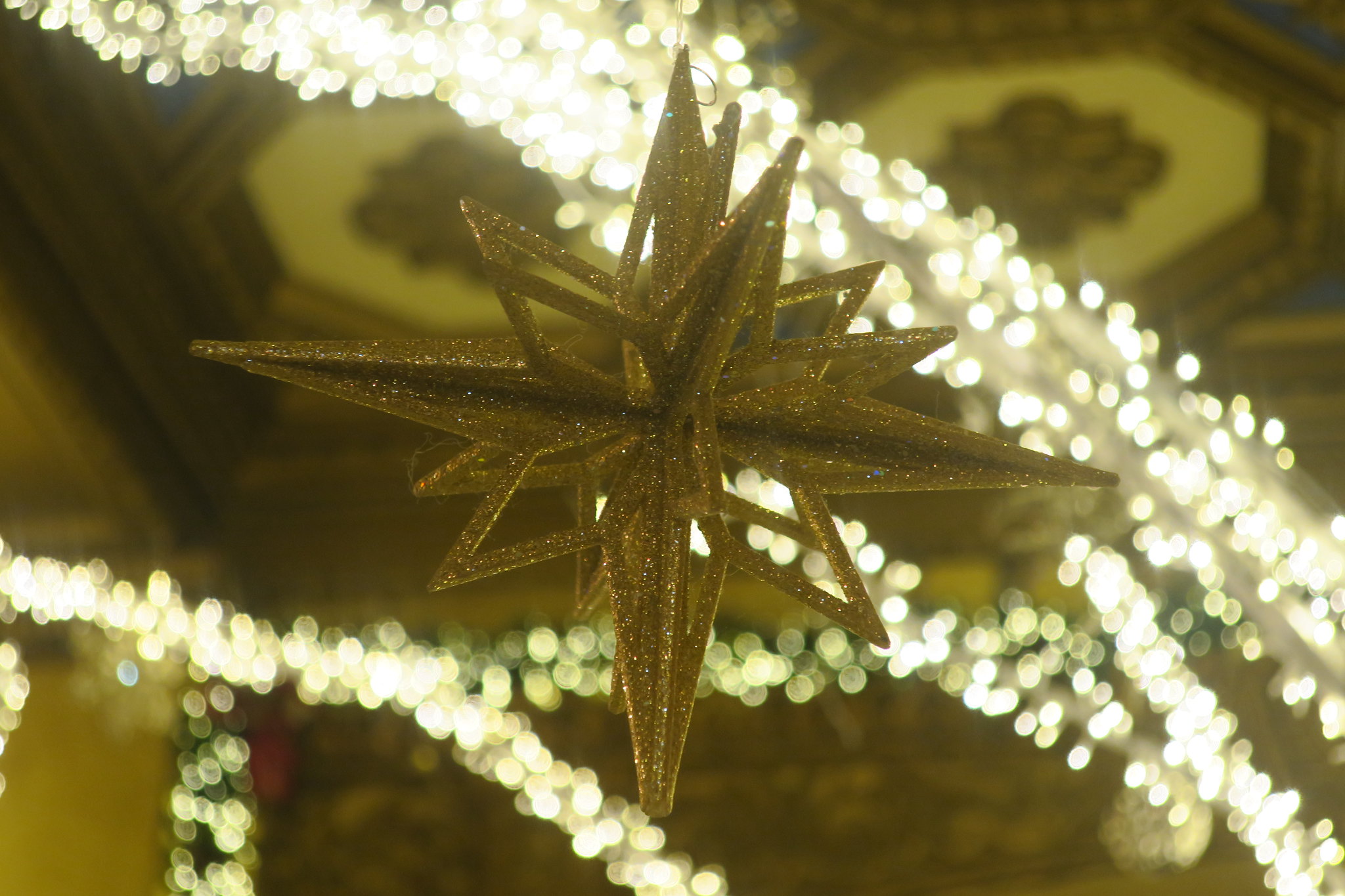 The Roosevelt Christmas Decorations TulaneLSU Christmas Pilgrimage VII The Roosevelt Decorations OT Lounge