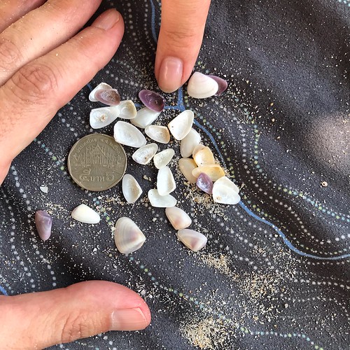 Tiny sea shells, Patong Beach fishbowl_fish Flickr