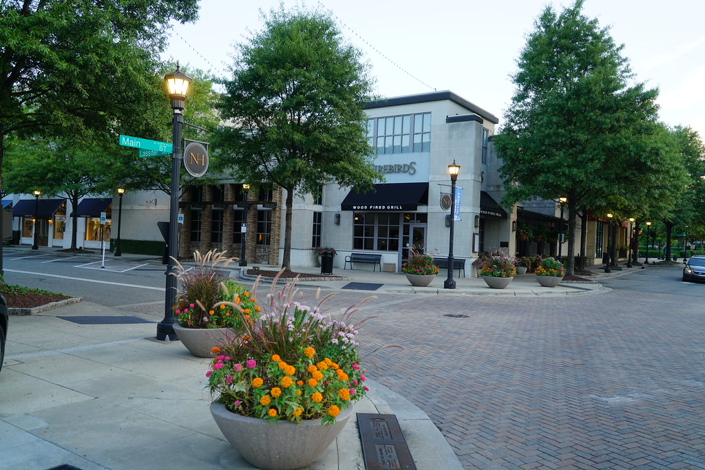 Flowers on Main Street These images capture the flowers, t… Flickr