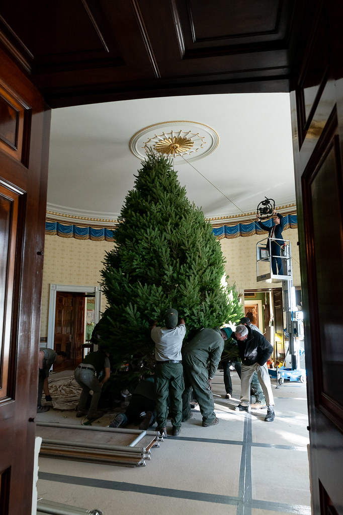 The 2019 White House Christmas Tree Arrives The 2019 White… Flickr