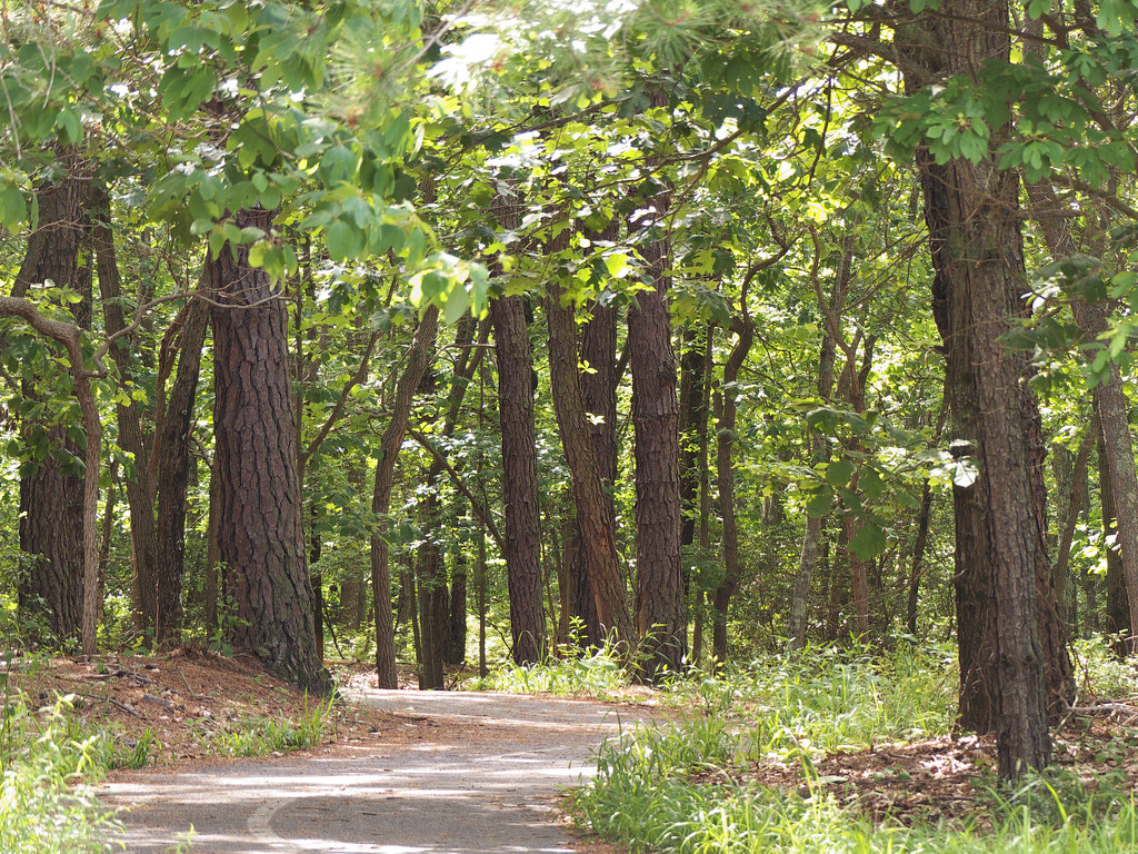 Blueberry Hill Trail 13 Blueberry Hill Conservation Area i… Flickr