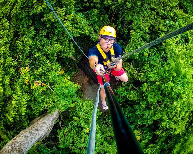 Flight of the Gibbon (Chiang Mai, Thailand) Brochures, Tour Info