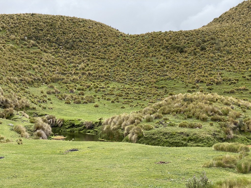 Páramo (Grassland), Downhill Mountain Biking on Cotopaxi Volcano at