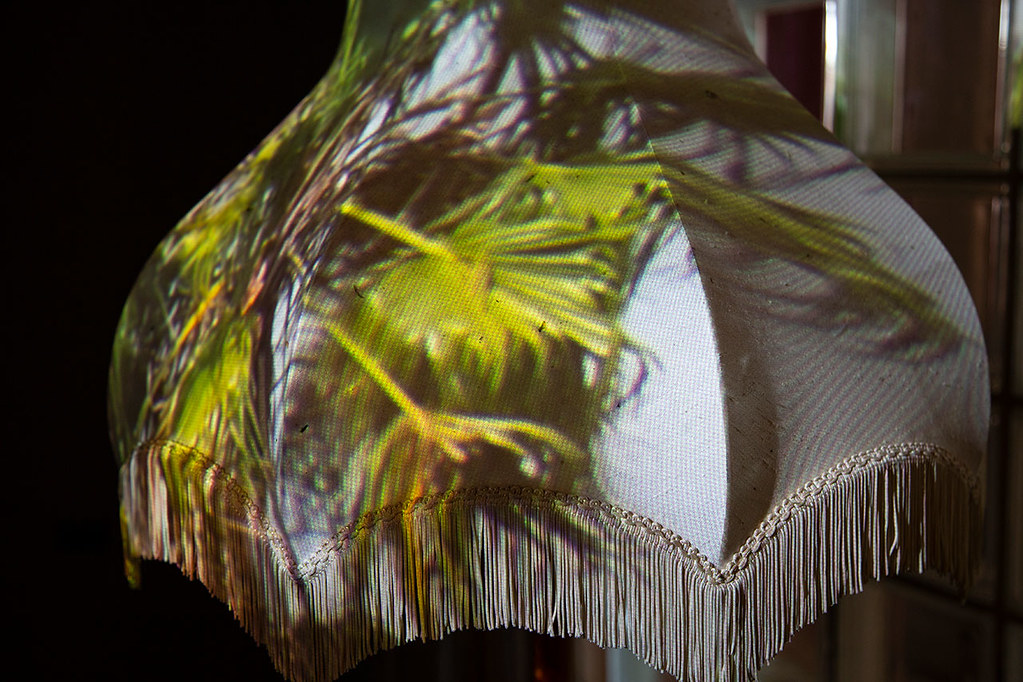 Brown Photography & Electronic A… Flickr