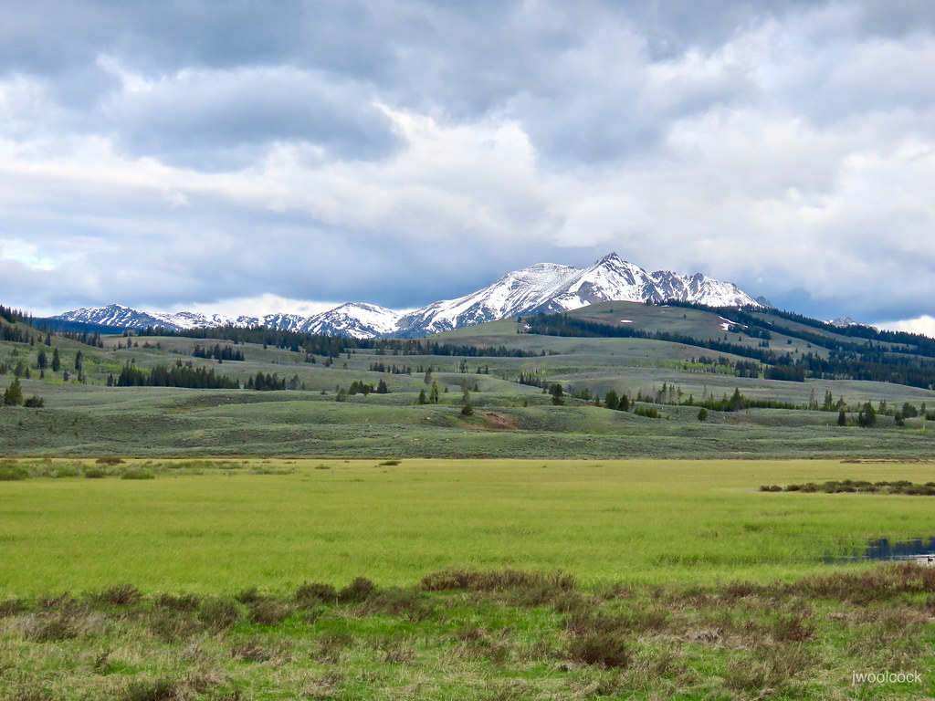 Swan Lake Flats/Electric Peak More Yellowstone Beauty, Jun… Flickr
