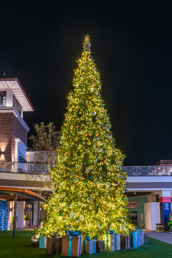Christmas Tree at 2nd & PCH Shopping Center December 9, 20… Flickr