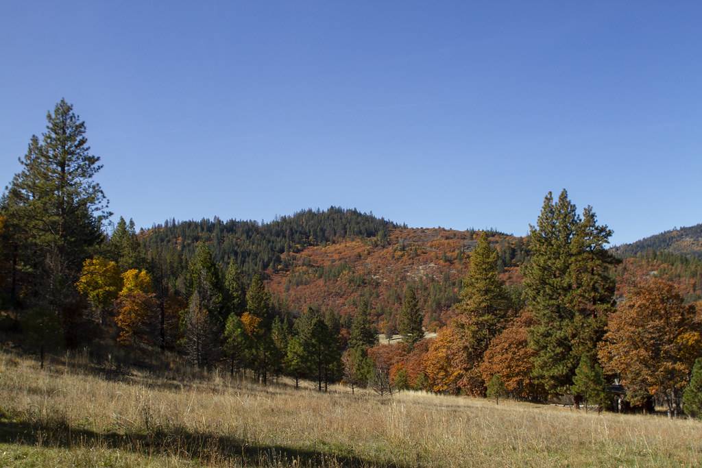 Jenny Creek Wild and Scenic River Located inside and adjac… Flickr