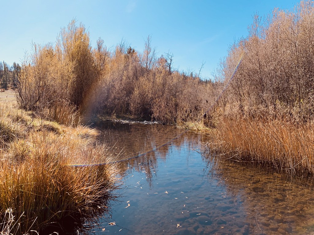 Jenny Creek Wild and Scenic River Flickr