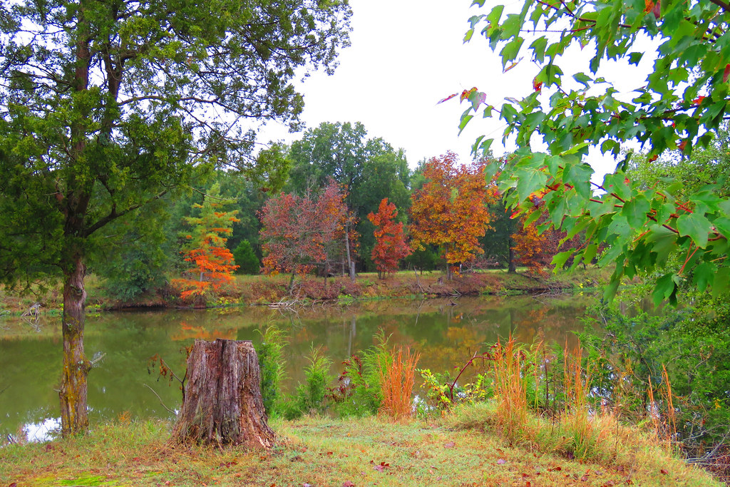 Long Lake Resort, near Poteau, Oklahoma Fall color Leona Jordan