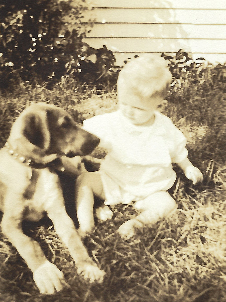 Man's Best Friend Family photos S Downing Flickr