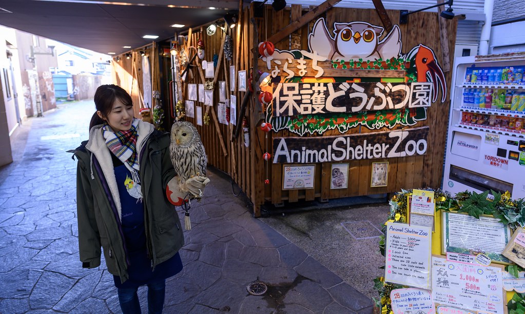 Nara Animal Shelter Zoo Shot from the other day walking ar… Flickr