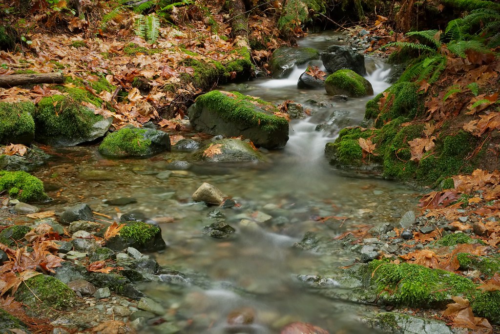 Knarston Creek 13 Lantzville Foothills, Vancouver Island Leonel
