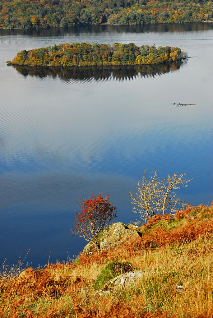 Derwentwater St.Herbert's Island, taken from the footpath … Flickr