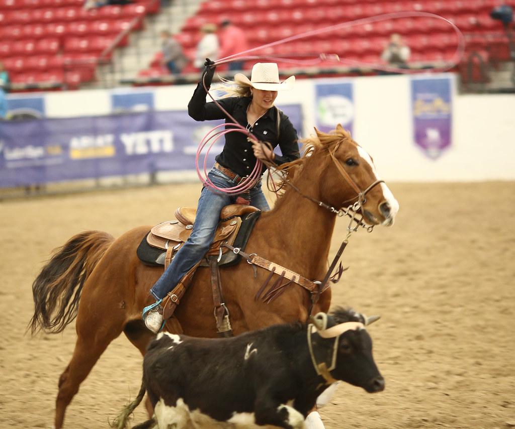 3K3A0270 Arit World Series Of Team Roping Roy_17 Flickr