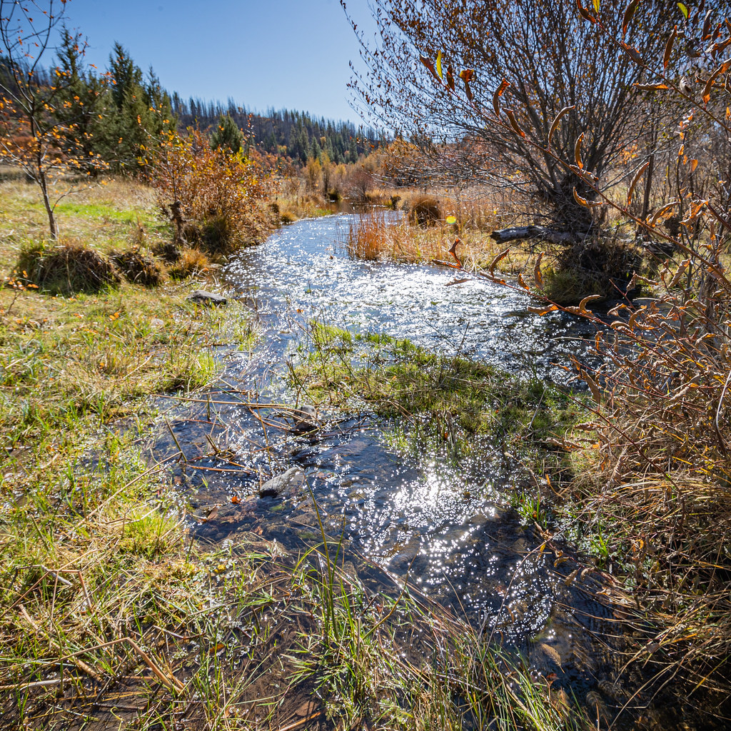 Jenny Creek Wild & Scenic River Jenny Creek Wild and Sceni… Flickr