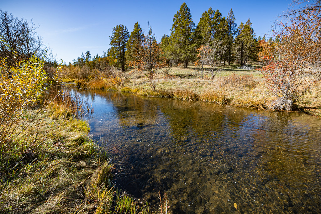 Jenny Creek Wild & Scenic River Jenny Creek Wild and Sceni… Flickr