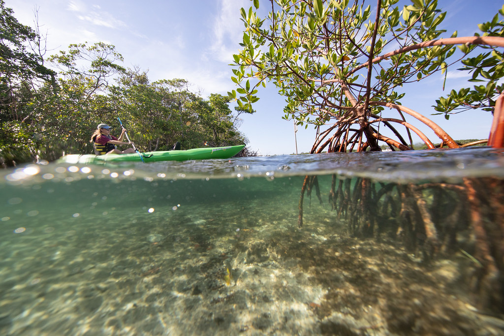 A visitor kayaks in the Jupiter Inlet Lighthouse Outstandi… Flickr