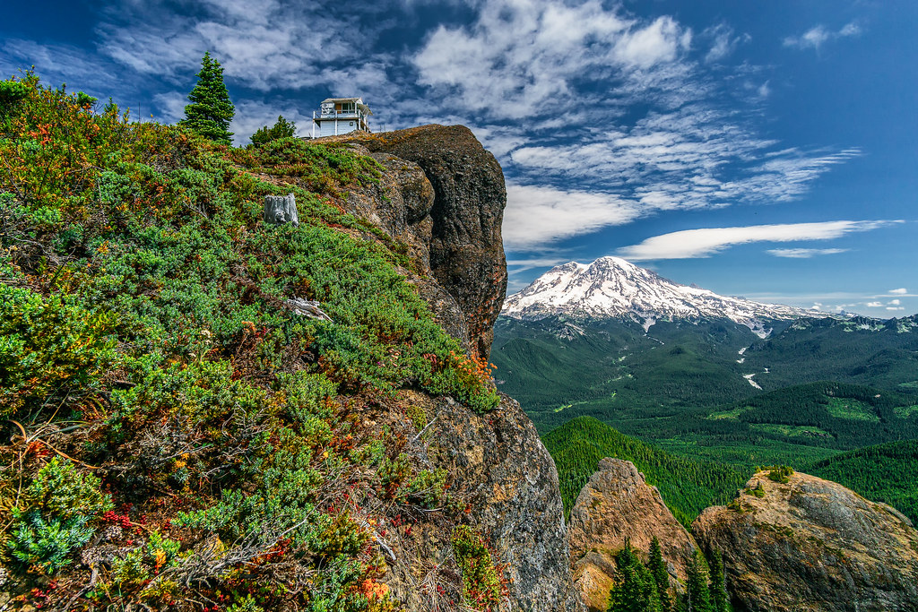Elevation of th Ave E, Ashford, WA, USA Topographic Map Altitude Map