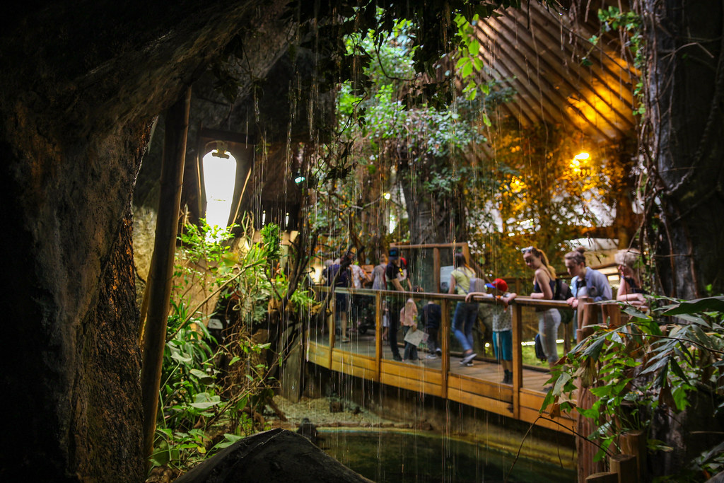 Zoo cave Shot at the Riga zoo Janis Brakmanis Flickr