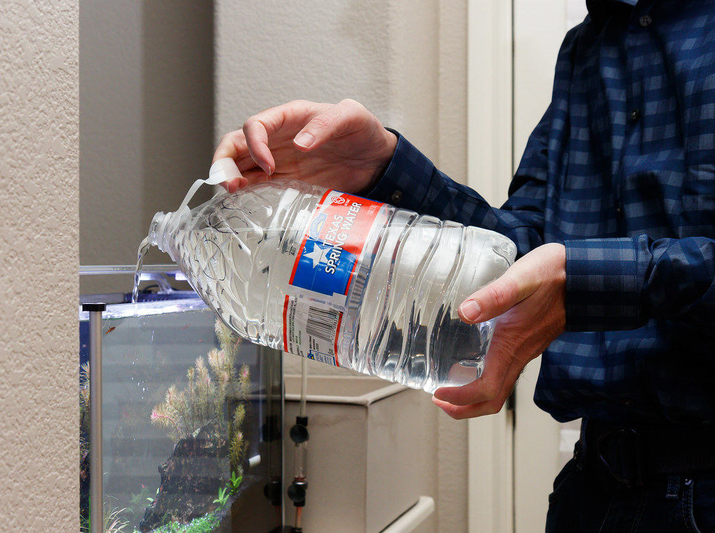 Aquarium Maintenance Tip Have Makeup Water Ready SpecTanks