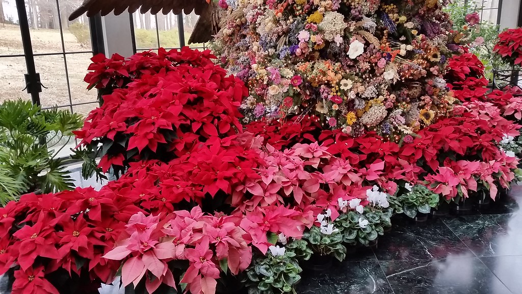 Winterthur Yuletide Dried Flower Christmas Tree (bottom) Flickr