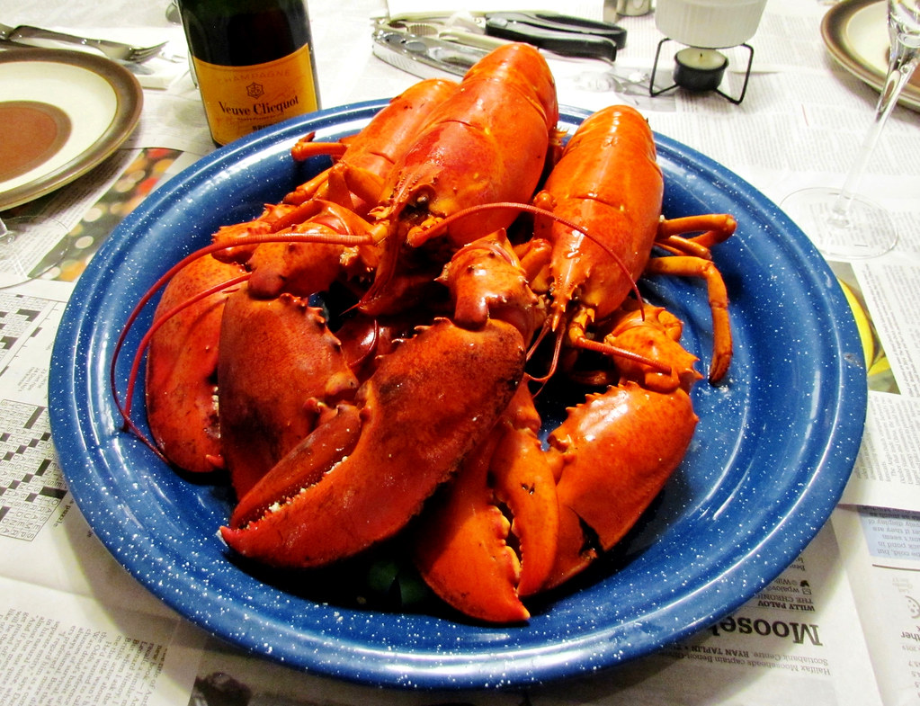 Nova Scotia Hard Shell Lobster Lobster is a strong Holiday… Flickr