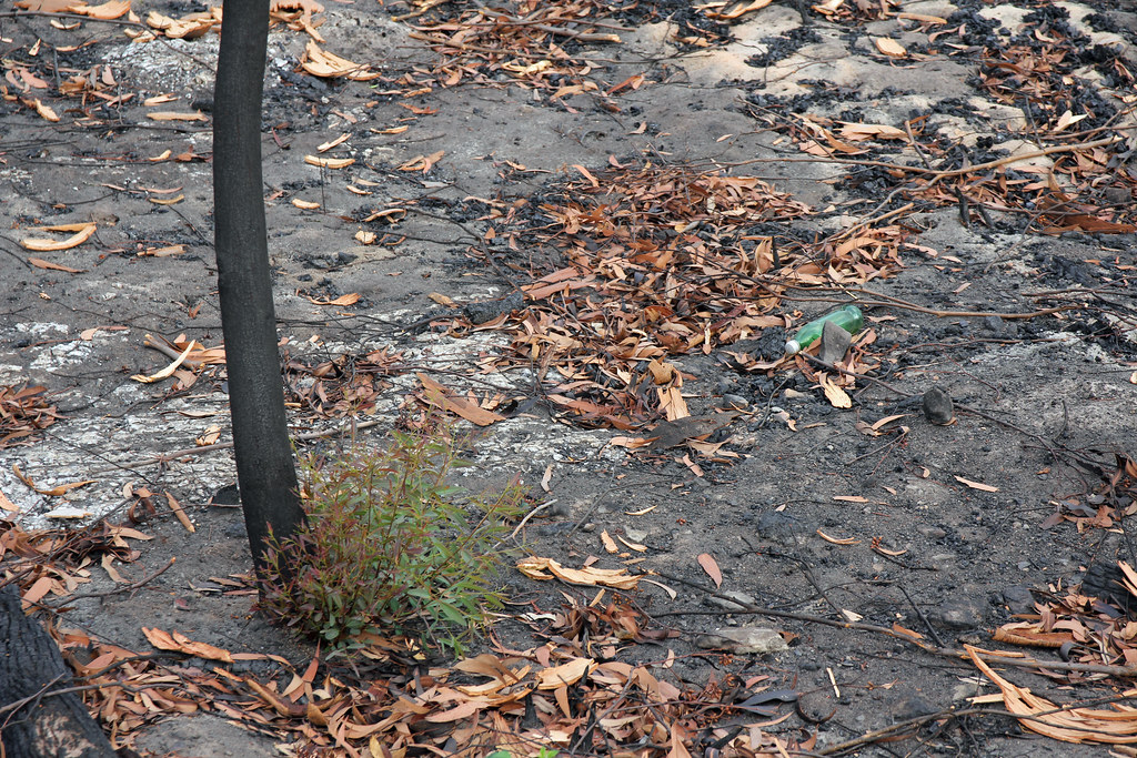 Putty Rd Fires Flickr