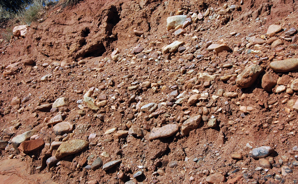 Mesa Gravels (Pleistocene; Red Rock Canyon Open Space, Col… Flickr