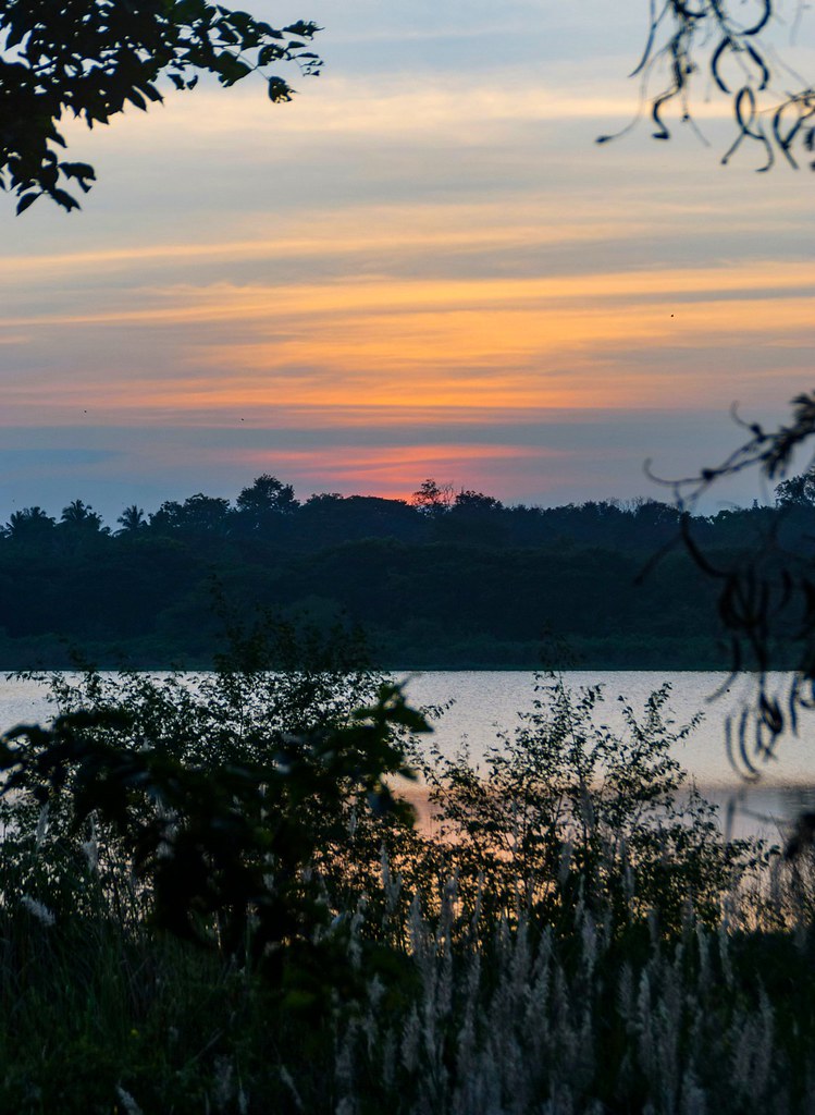 Sunset at Kukkarahalli Lake A popular lake in Mysore, Indi… Flickr