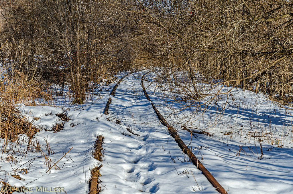 Cattaraugus, NY Unusued tracks of the New York and Lake Er… Flickr