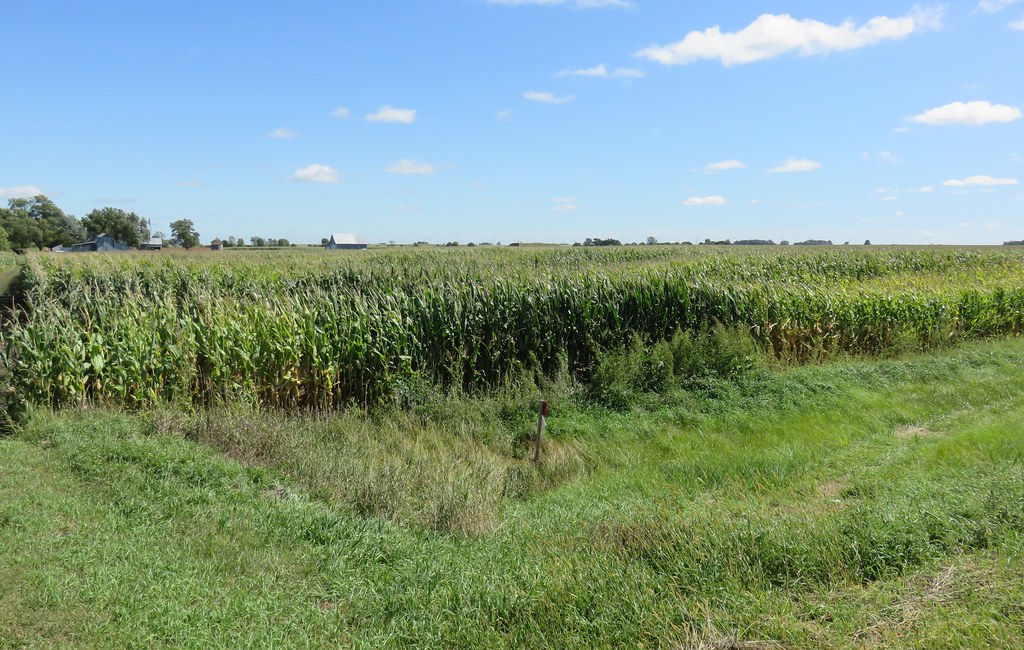 Iowa Corn Field (Callender, Iowa) As seen from just south … Flickr