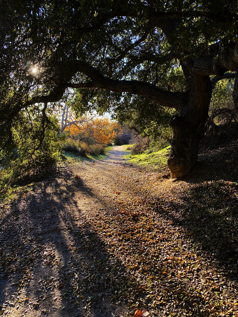 Crescenta Valley Park Donald Waters Flickr