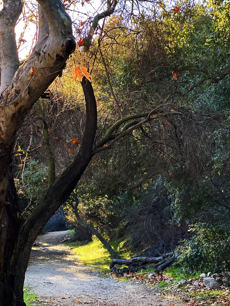 Crescenta Valley Park Sunrise 2 Donald Waters Flickr